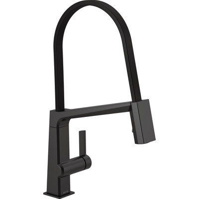 Pivotal Exposed Hose Kitchen Faucet