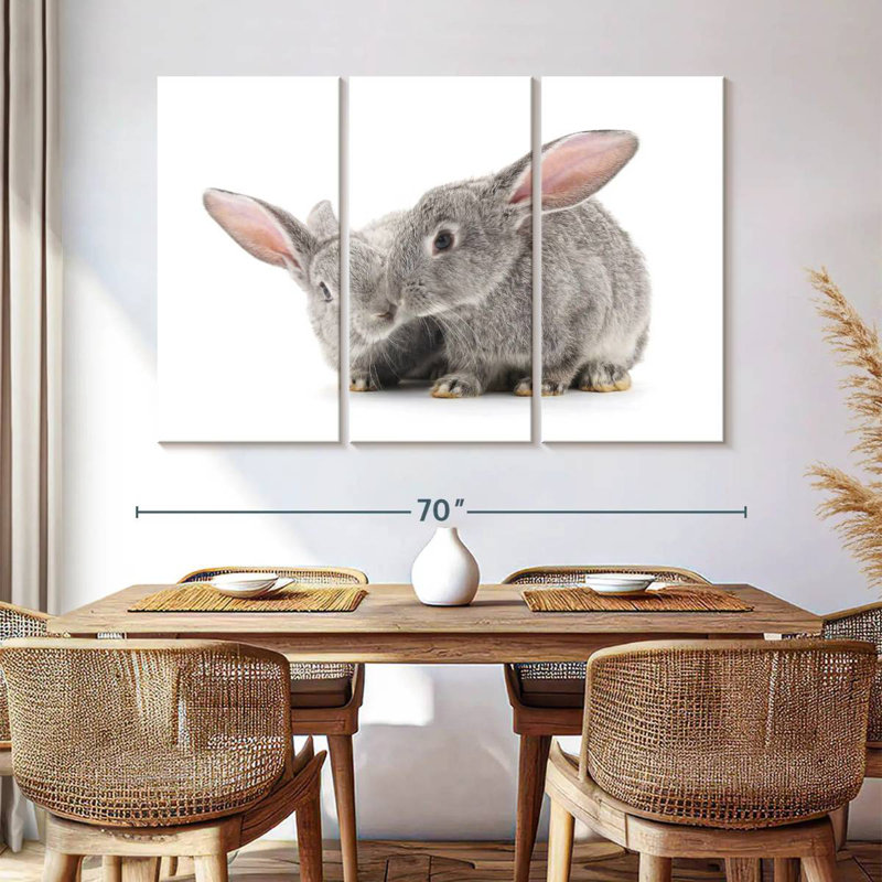 Deux bébés lapins