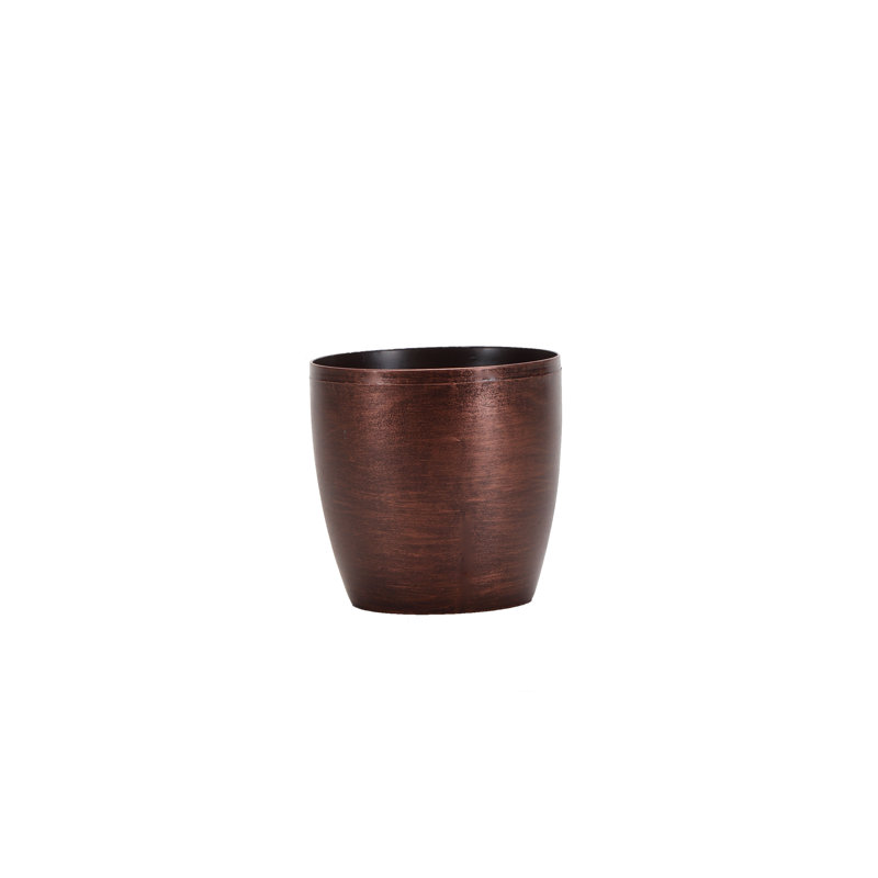 Live Jade Plant in Classic Pot, Copper