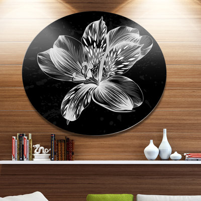 «Beautiful Monochrome Alstroemeria Flower», impression sur métal