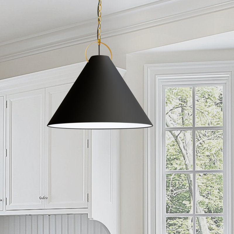 Luminaire suspendu incandescent 1 lumière Princeton, Noir, Laiton vieilli, H 19,5 po x l 24 po x P 24 po