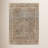 Clemente Oriental Indoor Rug-314219809