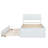 Elegant Creamy White Twin Bed With Trundle For Superior Comfort And High Gloss Headboard Bedroom Sophistication-346168691
