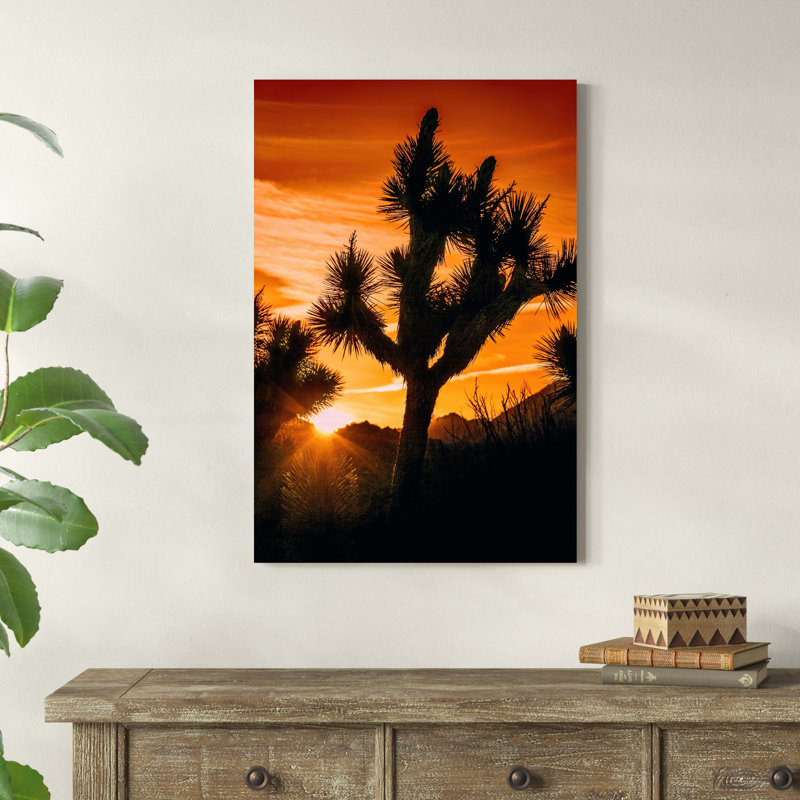 Vue de Joshua Tree V, H 36 po x l 24 po x P 1,25 po