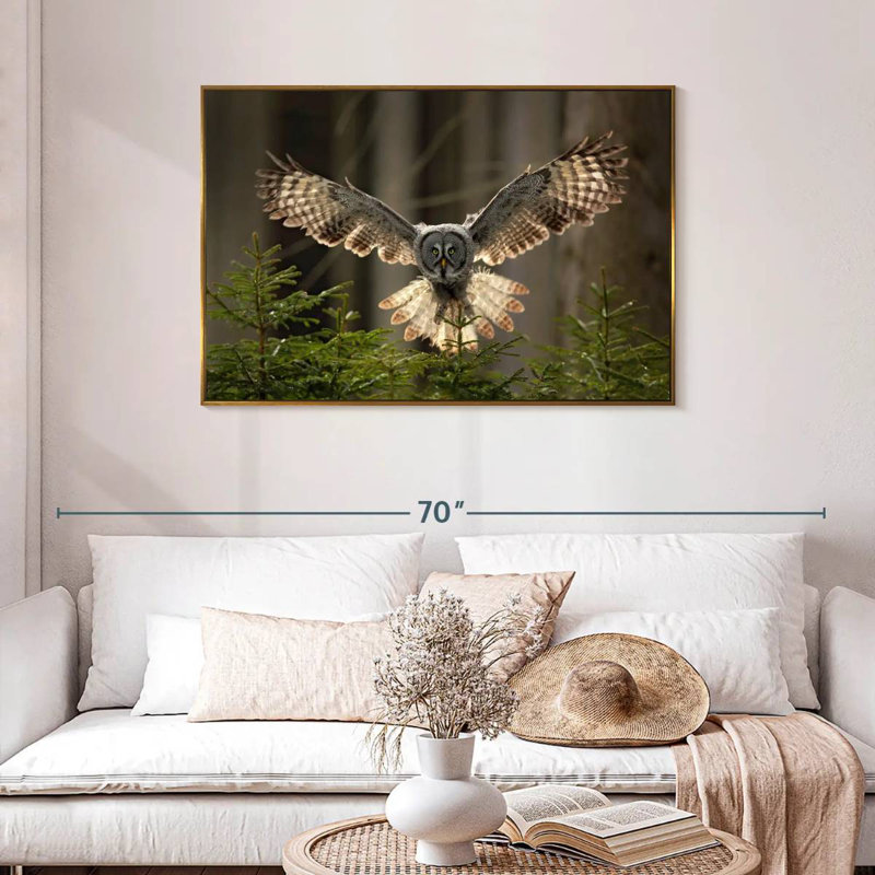 Hibou volant, Cadre flottant doré, 43 po x 29 po