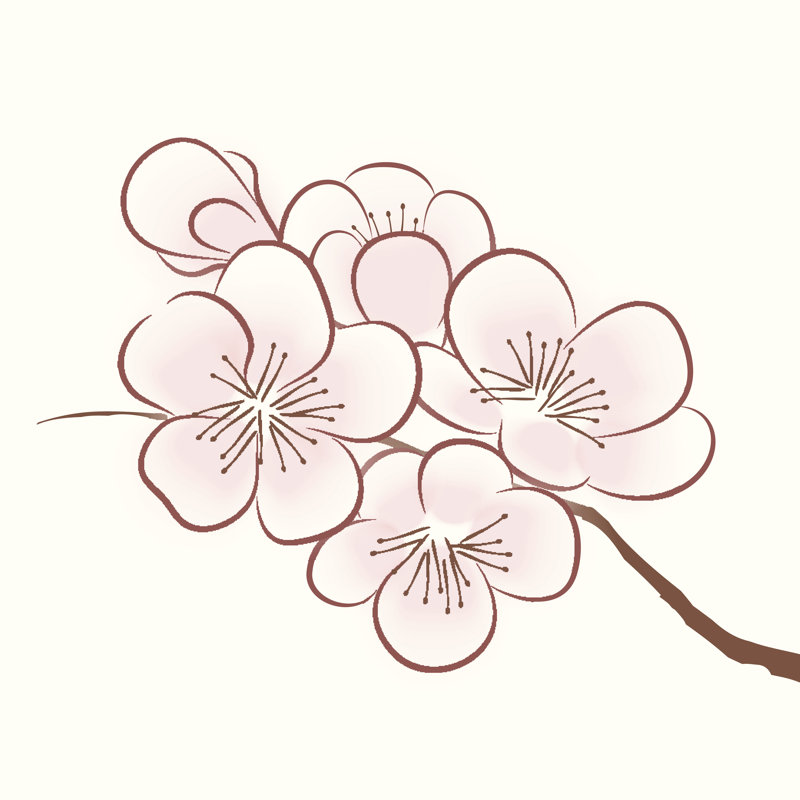 Spring Cherry Blossom by Cat_Chat - Wrapped Canvas Print, 122cm H x 122cm W x 3.8cm D