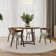 Drees Dining Chair with backrest and arms