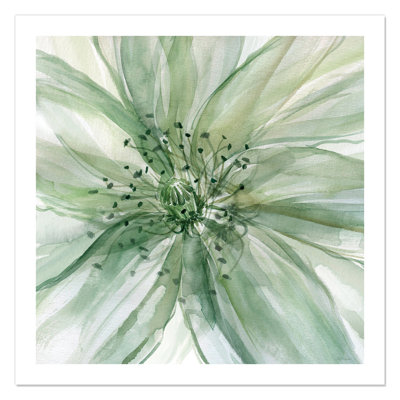 Macro Sage Flower " Macro Sage Flower II "
