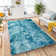 Modern Living Room Accent Teal Shag Area Rug
