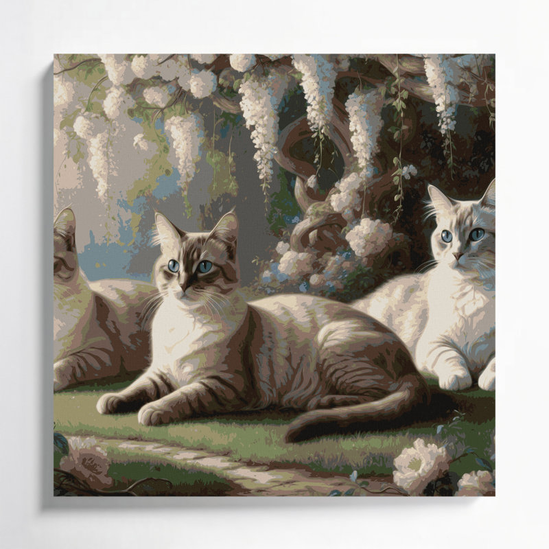 Cats tonkinois gris, art mural sur toile, H 12 po x l 12 po