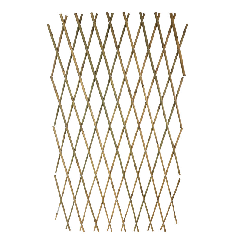 72'' W Wood Expanding Trellis, 48" H x 72" W x 1" D