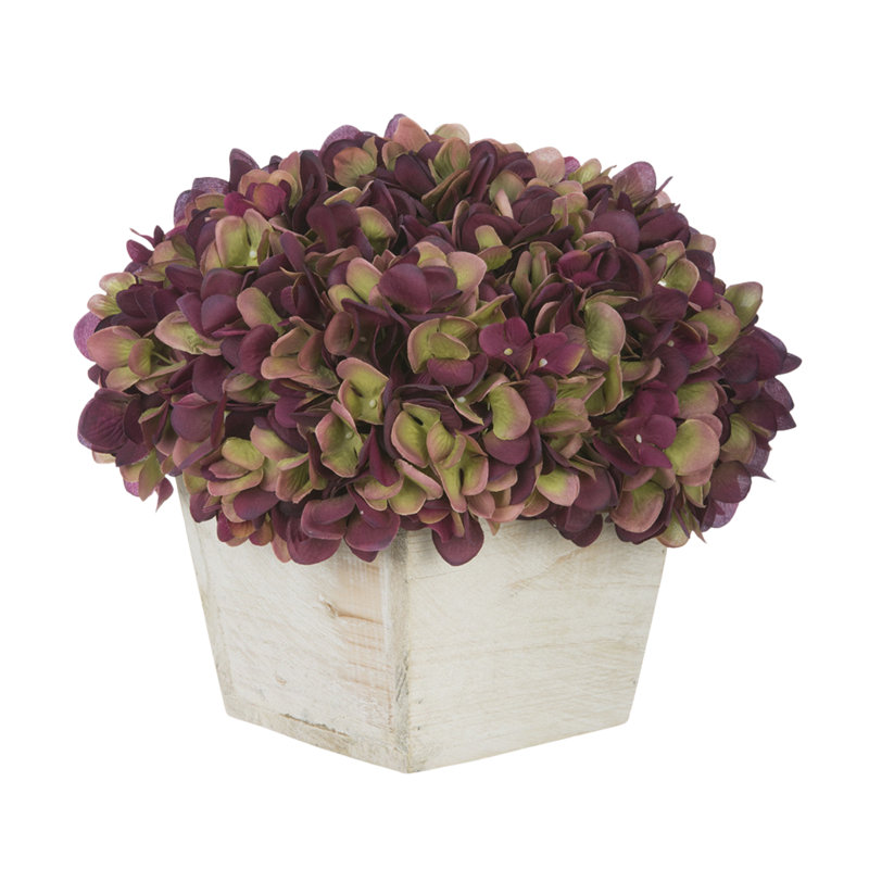 Arrangement d'hortensias en prune, Prune / sauge