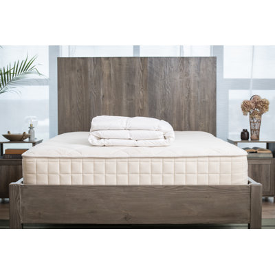Down Duvet Insert Comforter with Organic Cotton Fabric