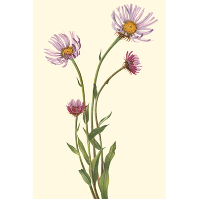 Delicate Wildflowers V - Painting on Canvas