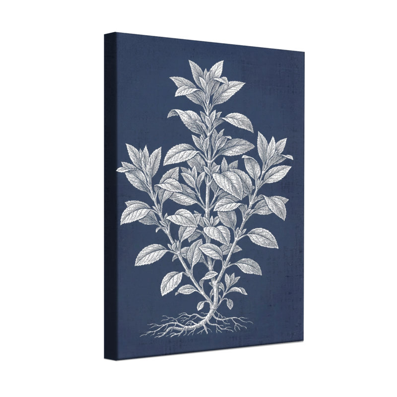 Plantes et fleurs, croquis de plantes botaniques, fond bleu marine, H 24 po x l 16 po
