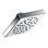 90 Degree Shower Head with Immersion