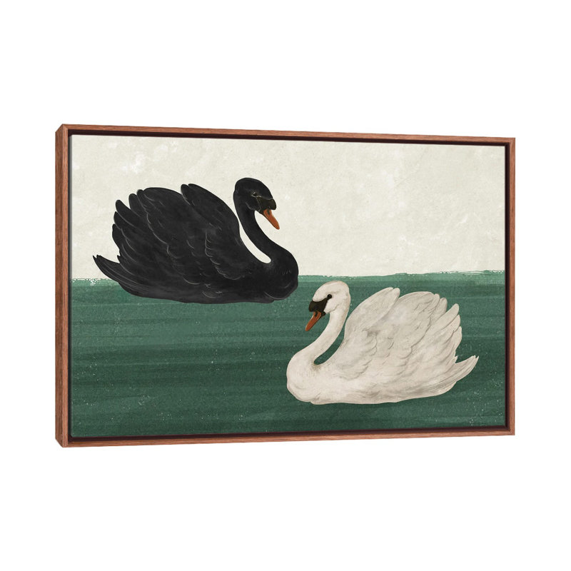 Black Swan White Swan, Classic Wood Floater Framed, 26'' H x 40'' W