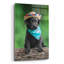 «Black Lab Pup 6» par Jonathan Ross-313399571