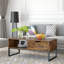 Sled Coffee Table with Storage