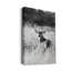 Grasslands - reproduction de photo-949000766-949000763-949000762