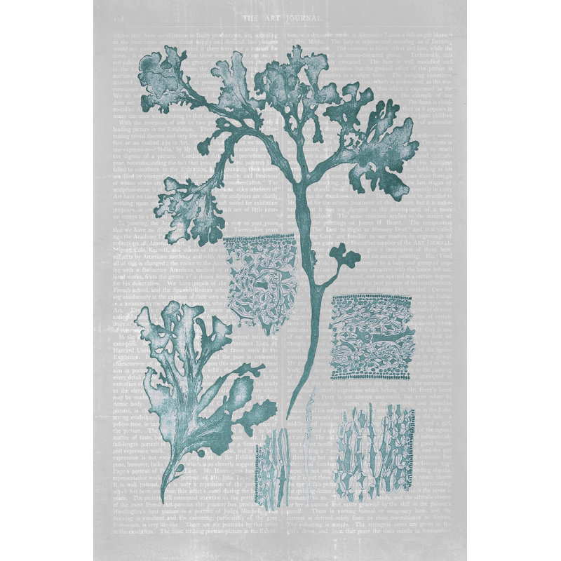 Teal Coral I by Jennifer Goldberger - Wrapped Canvas Art Prints, 91cm H x 61cm W