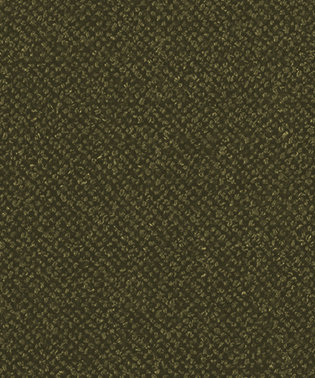 Genesis Fabric