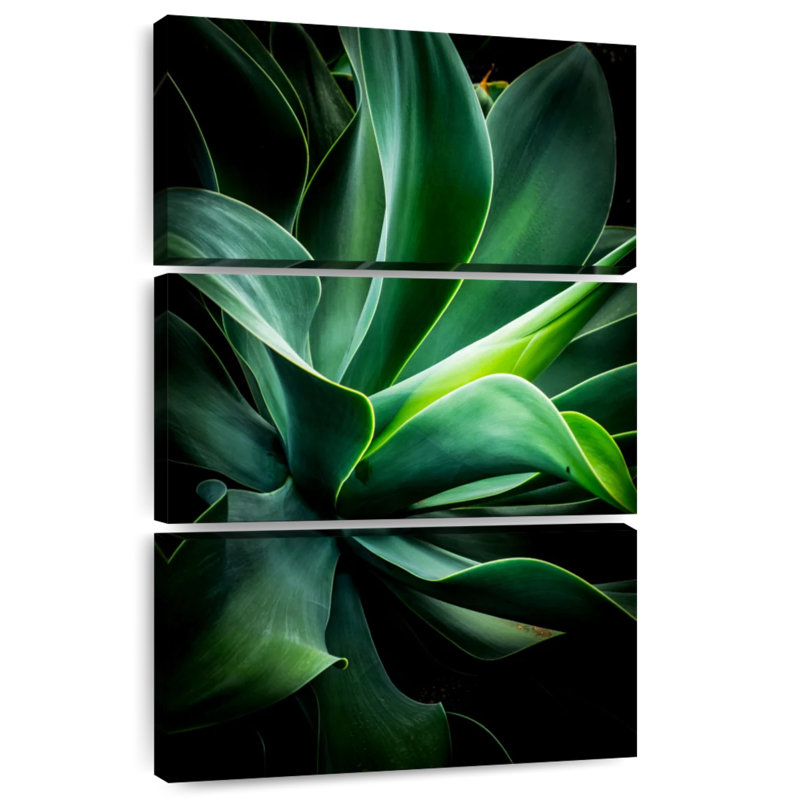 Harnek Macro Curvy Leaves, H 32 po x l 20 po