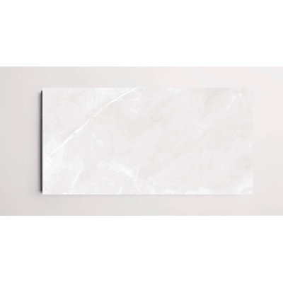 Magi 12" x 24" Polished Tile