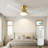 52" Low Profile Ceiling Fans With Lights And Remote, 3CCT Dimmable LED Light, Quiet 6-Speed Reversible DC Motor, 3 Wooden Blades, Timer, Memory Function, Outdoor Indoor Flush Mount Fan-972376783