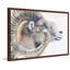 Parvez Taj - Single Picture Frame Print-19701274