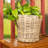 Round Planter With Plastic Insert