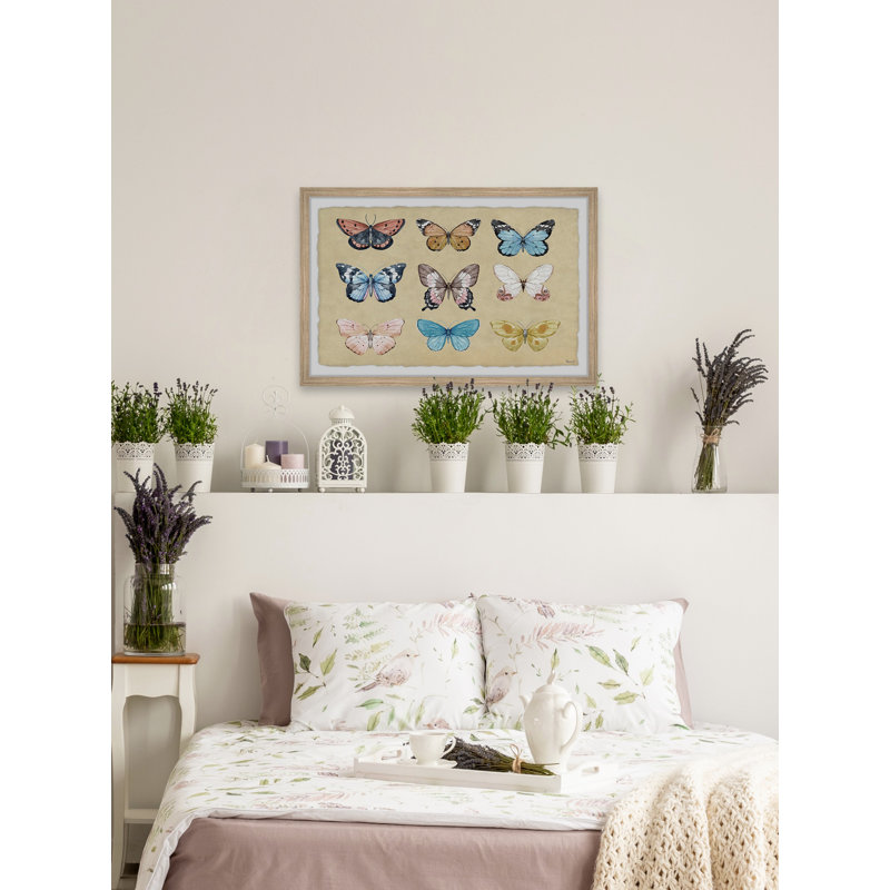 Striking Colours - Single Picture Frame Print, 38cm H x 45cm W x 3.81cm D