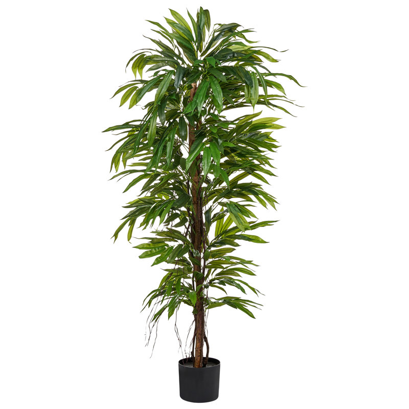 Artificial Plant LONGIFOLIA 155 cm Green