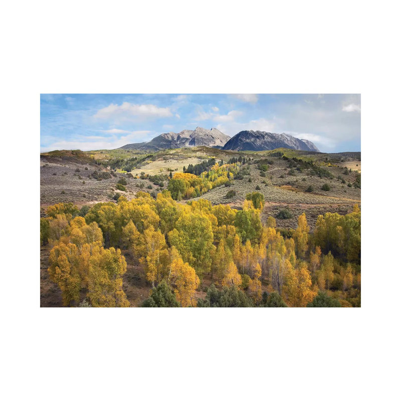 Quaking Aspen Forest And Chair Mountain In Autumn by Tim Fitzharris - Wrapped Canvas Print