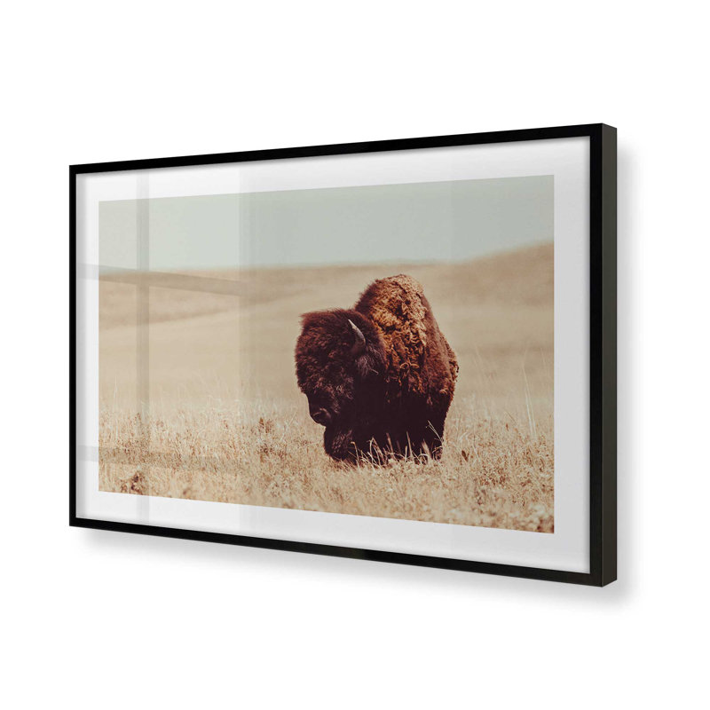 Imprimé sérénité de bison broutant, H 19 po x l 25 po x P 1,25 po, Cadre noir