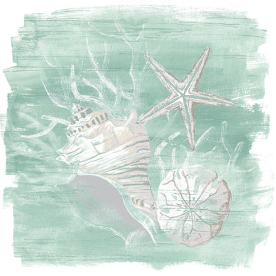 " Weathered Shell Assortment I " by June Erica Vess
