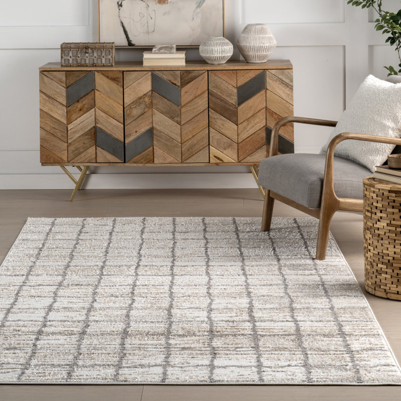  Xylia Checkered Area Rug, Rectangle 10' x 14'