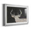 Brow Tine Deer I - ensemble de 2 reproductions de cadres photo-849279271-849279288