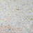 Roseau Performance Traditional Light Gray/Blue/Multicolor Floral Rug-607767940