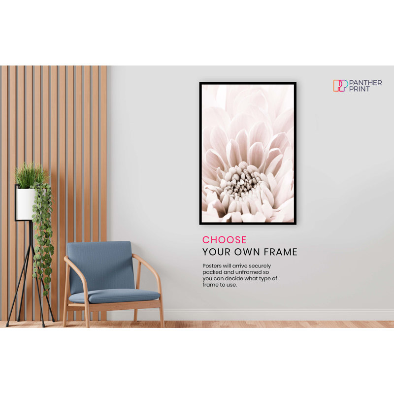 Pastel Pink Chrysanthemum Close Up - No Frame Print, 31cm H x 20cm W