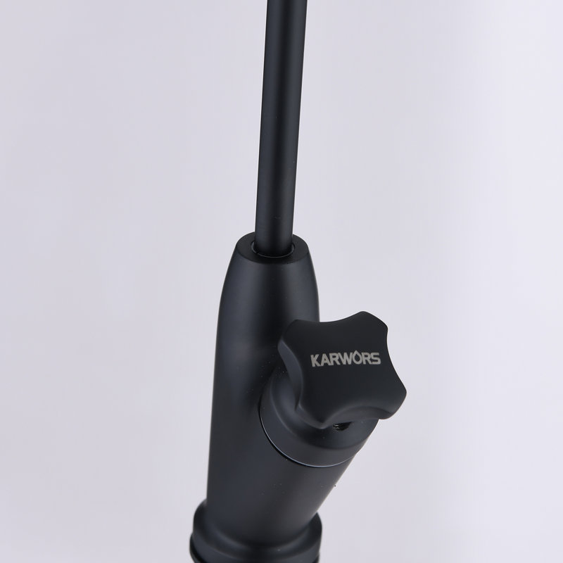 Cheetah Sourcing Kitchen Faucet, Matte Black, Lever