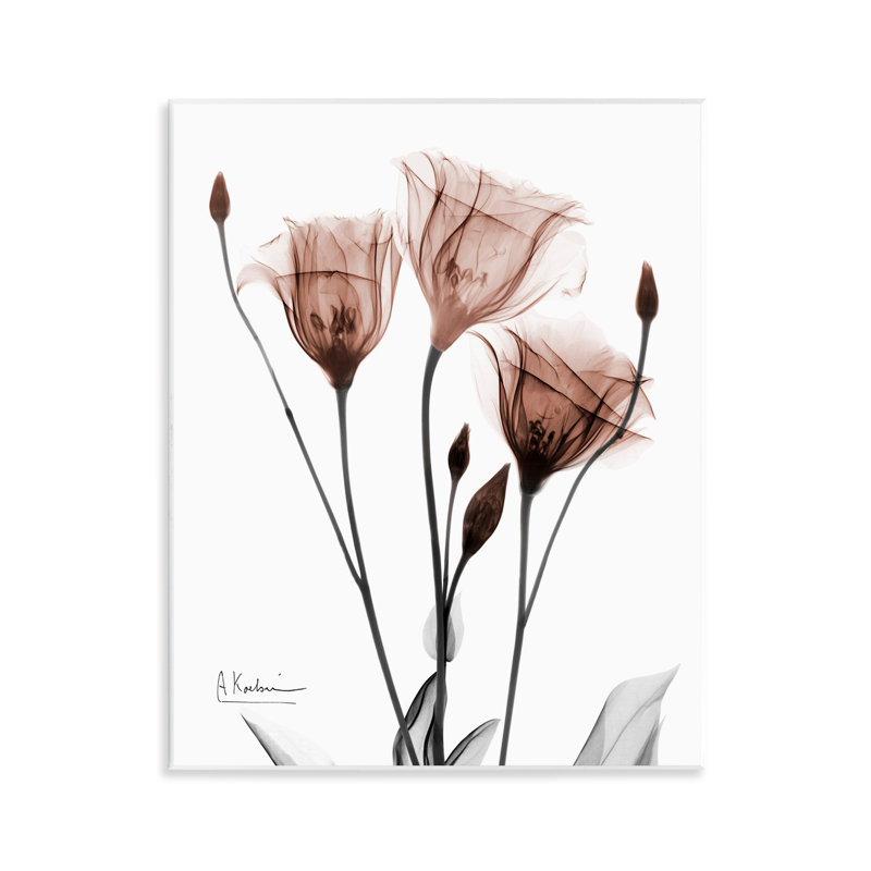 «Minimal Translucent Tulips», art mural par Albert Koetsier