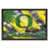 Oregon Ducks