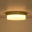 Brass LED Opal Glass Round Ceiling Light