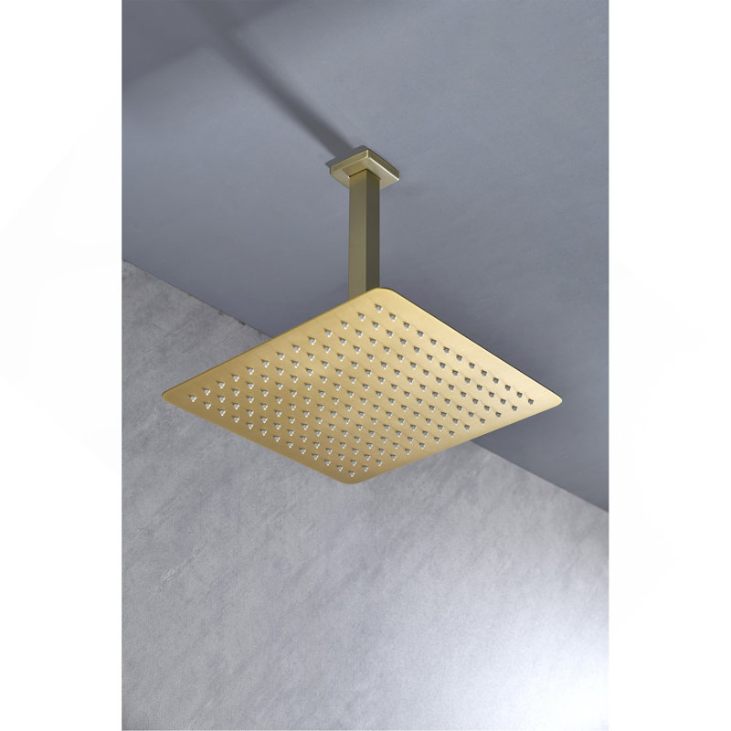 Pomme de douche à pluie Pomme de douche à haute pression à économie d'eau, Brushed Nickel
