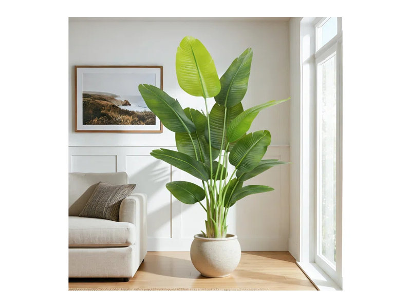 Plant, 70cm H x 21cm W x 21cm D