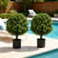 Ensemble de 2 arbustes artificiels en pot, topiaires en buis artificiel, pour porte d'entrée et terrasse, 56 cm de verdure réaliste pour la maison, le bureau ou l'entrée.