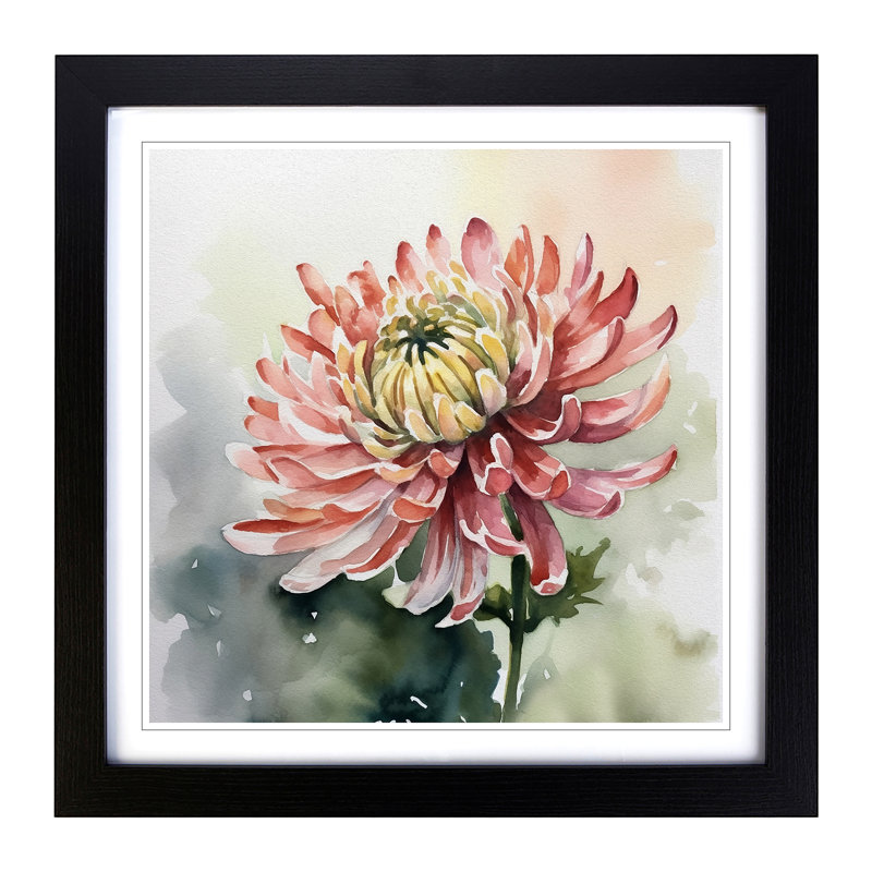 Chrysanthemum Watercolour - Framed Print, Black