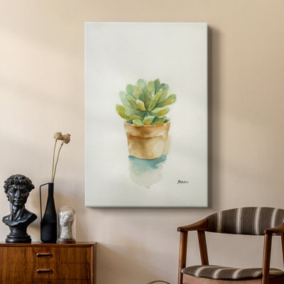 Succulent II -Custom Wrapped Gallery Cavas