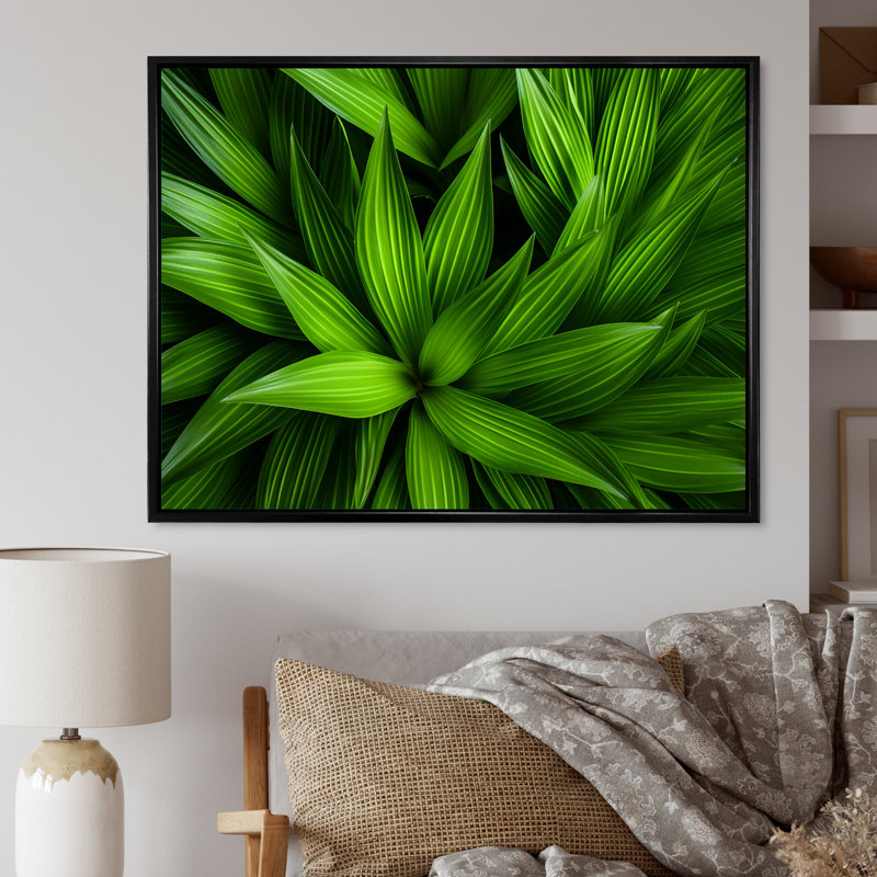 Greenerys Gaze sur impression sur toile, H 12 po x l 20 po x P 1 po, Cadre flottant noir